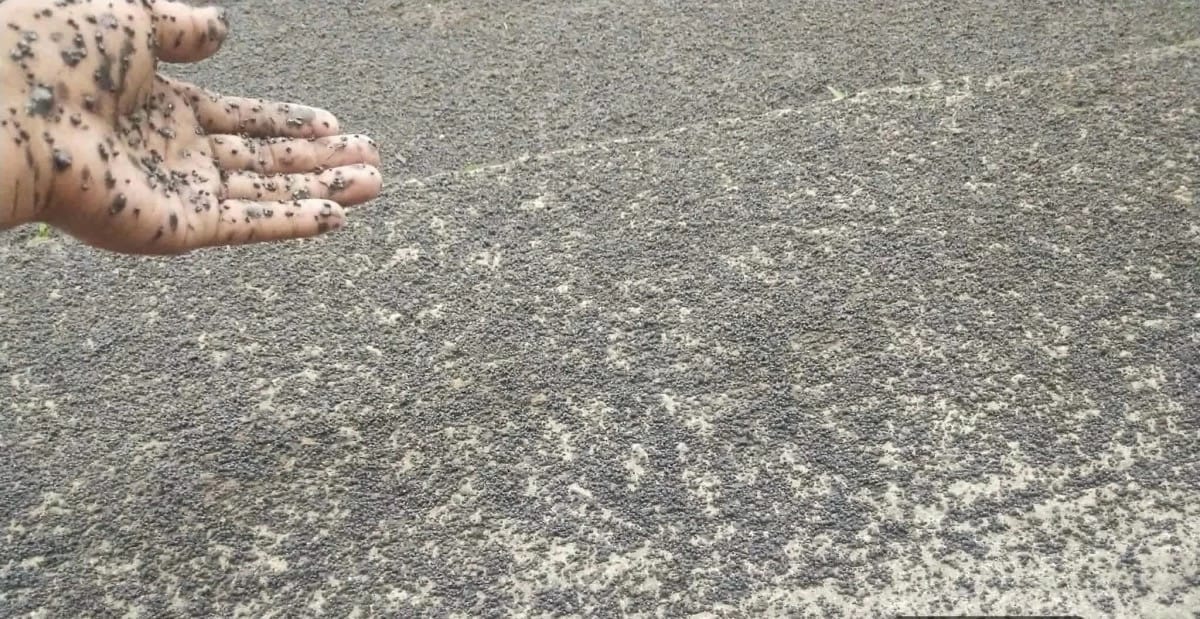 25 Barangays Covered in Ash: Kanlaon Eruption Aftermath Hits Five Negros Towns Hard